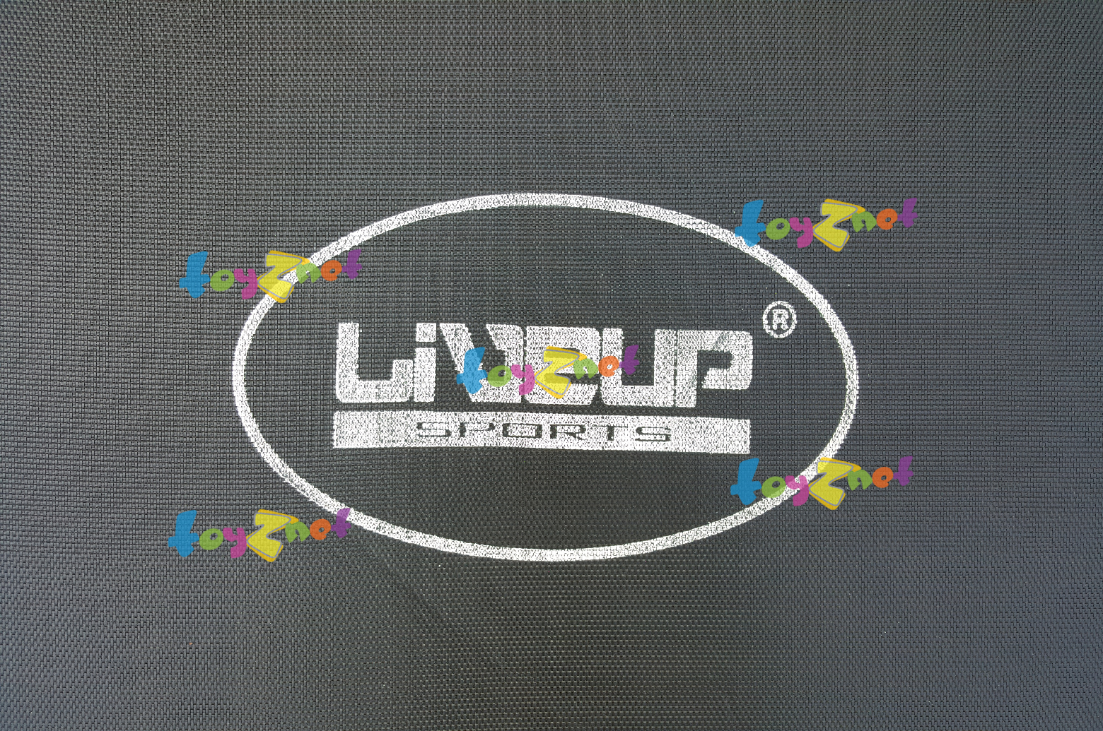 Liveup สปริงบอร์ด แทรมโพลีน 14 ฟุต พร้อมตาข่ายกั้น รุ่น LS3186-14FT (สินค้าตามสภาพ) และ (มารับสินค้าเองที่หน้าโกดัง)