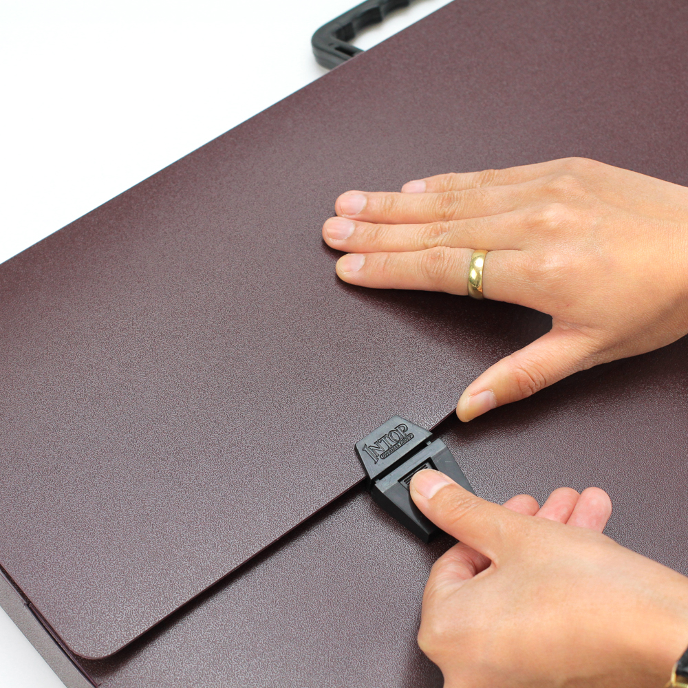 Plastic Document Carrying Bag