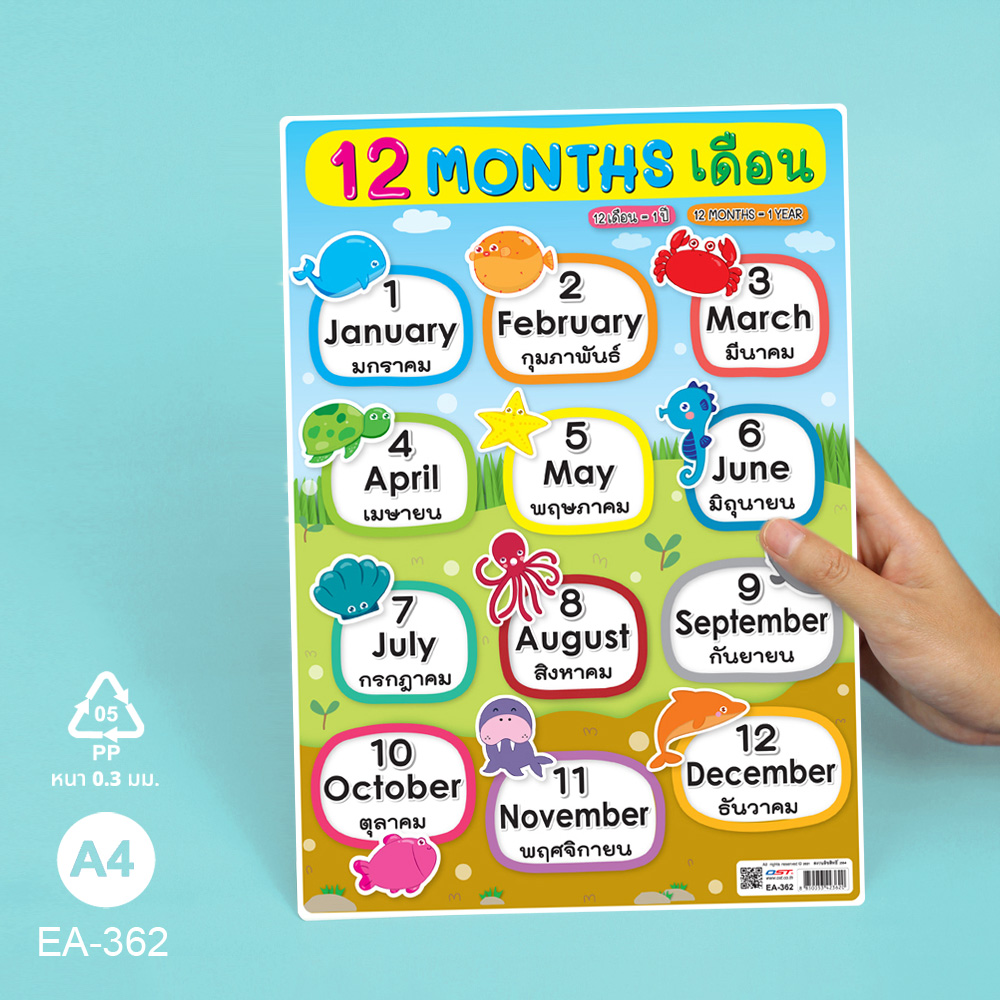 โปสเตอร์พลาสติก ความรู้ ชุด เวลา วัน เดือน ขนาดA4 EA-362 12 Months