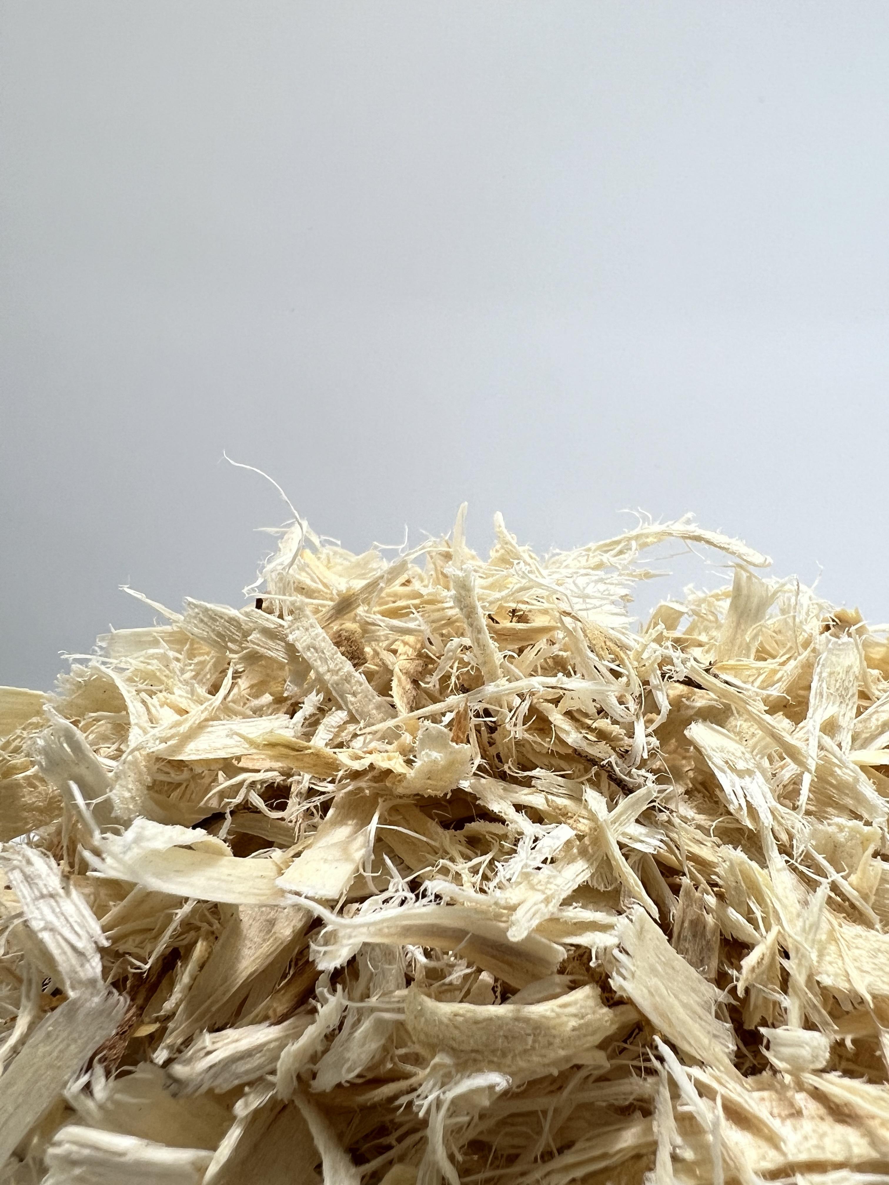 ODOR CONTROL 200g.