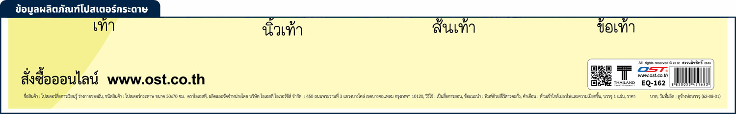 สคบ.โปสเตอร์ความรู้ ร่างกายของฉัน My Body EQ-162
