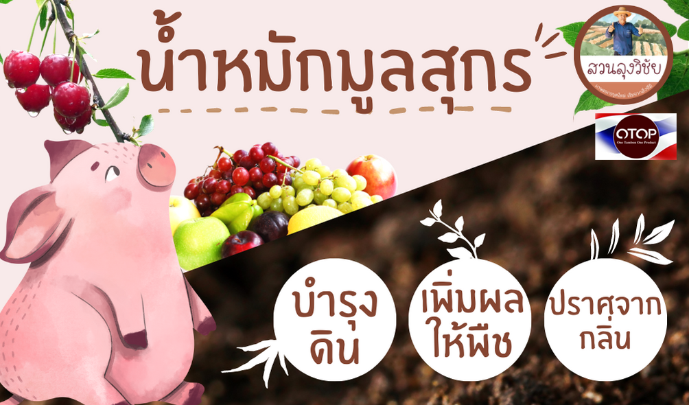 ปุ๋ยน้ำมูลสุกรชีวภาพ น้ำหมักมูลสุกร 100% ขนาด 1 ลิตร น้ำหมักมูลหมู น้ำหมักขี้หมู สูตรเข้มข้น พืช โตเร็ว