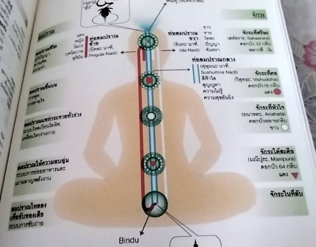 คำเตือนจากท่านคุรุปัทมสัมภาวะ