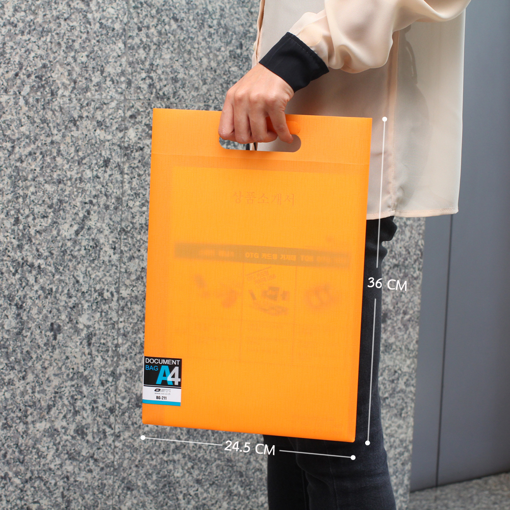 Document Carrying Bag A4