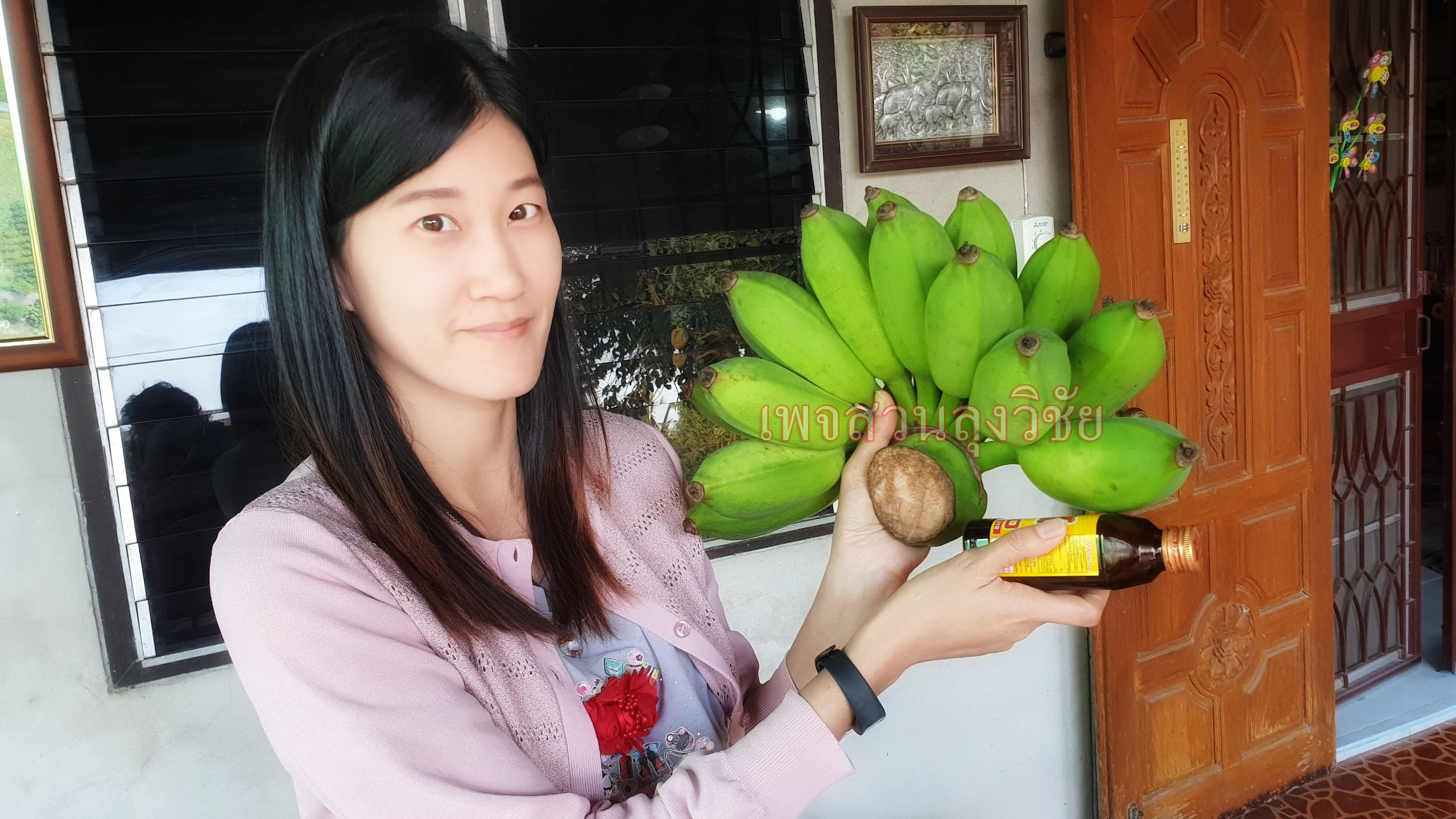 หน่อกล้วยน้ำหว้าทะลิอ่องยักษ์โบราณ 4 หน่อ ส่งฟรีทั่วไทย