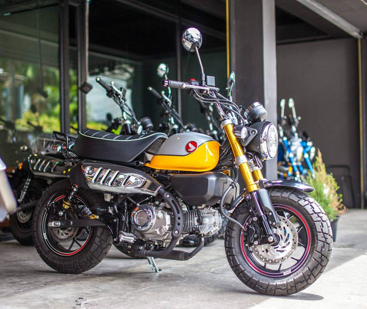 โช๊คหน้าแท้ พร้อมสปริงแบบโหลดหน้าเตี้ย3นิ้ว Power Fender MONKEY 125 ชุดละ11500