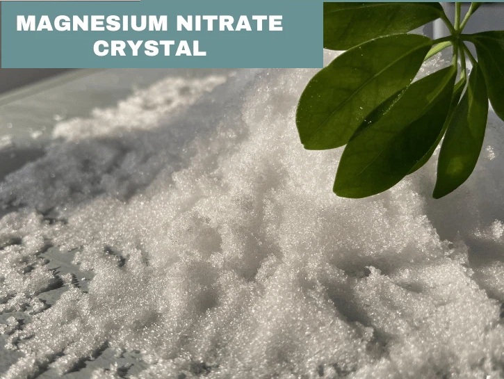 KNLAN Magnesium Nitrate Hexahydrate Crystal Mg(NO₃ )₂•6H₂O แมกนีเซียมไนเตรท แบบเกล็ด GROW SPRING 10-0-0+9Mg) บรรจุ 25 กิโลกรัม