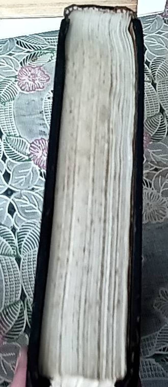 หนึ่งร้อยปีแห่งความโดดเดี่ยว