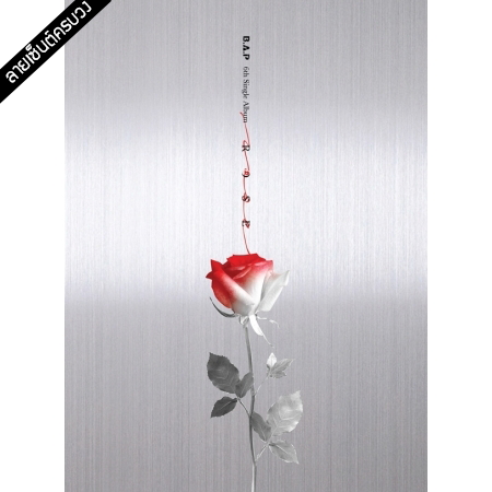 [PRE-ORDER] {อัลบั้มไซน์ทั้งวง} B.A.P 6th Single Album "ROSE" (A Ver.)