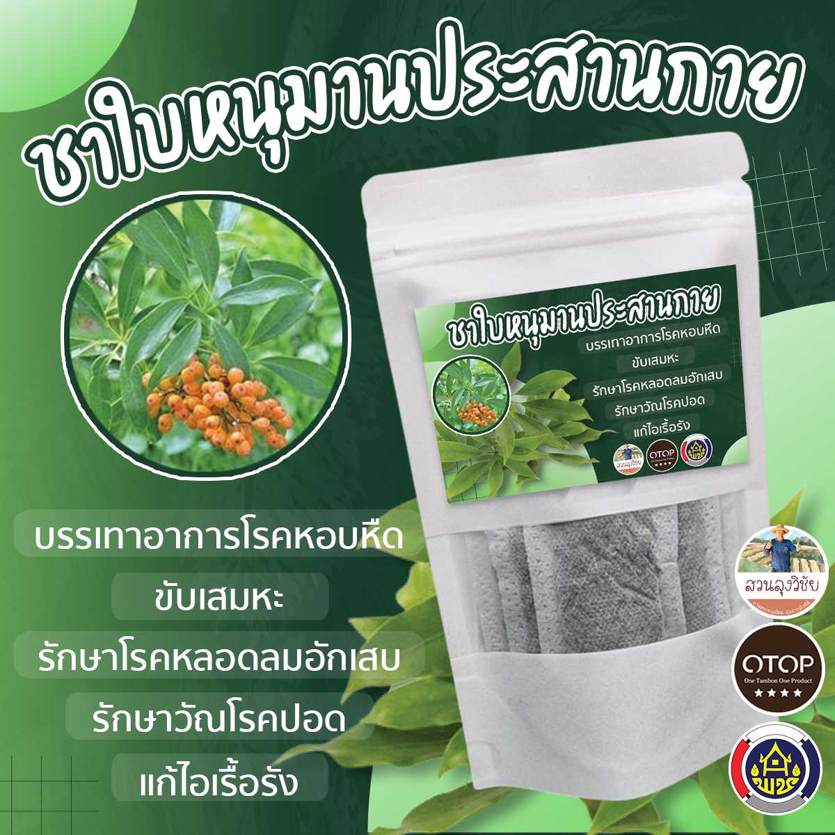 ชาหนุมานประสานกาย หนุมานประสานกาย บำรุงปอด ลดภูมิแพ้อากาศ หอบหืด
