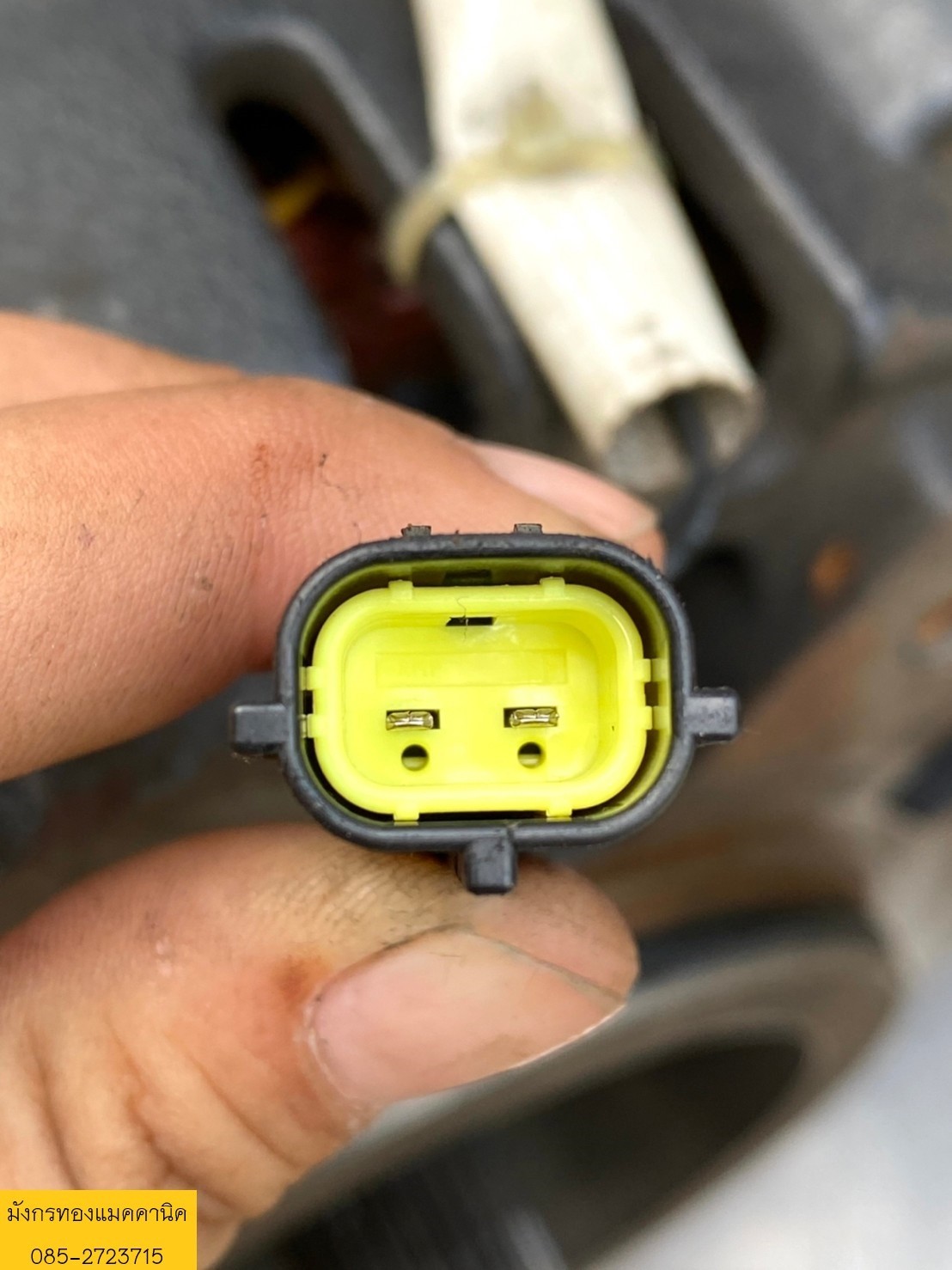 มอเตอร์ indution moter