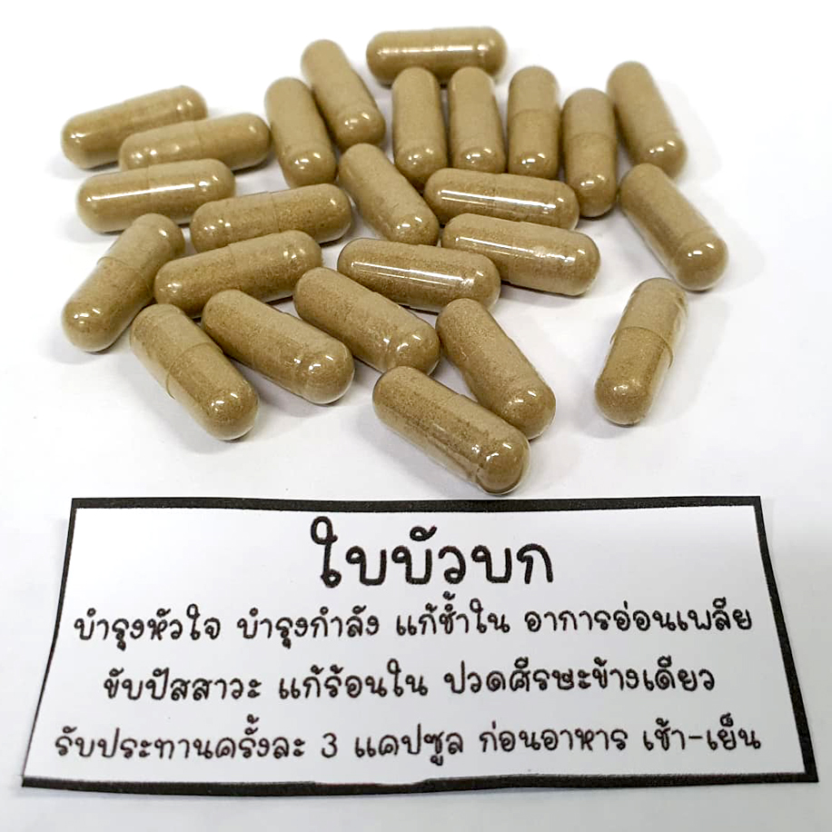 ใบบัวบก แคปซูล บรรจุ 100 แคบซูล บด100% ไม่ผสม แก้อาการช้ำใน ลดอการอักเสบ