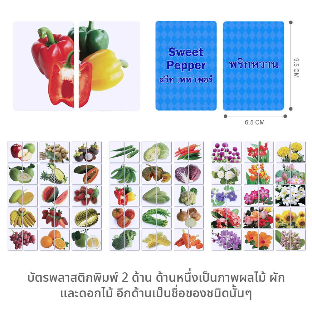 บัตรคำศัพท์ เกมจับคู่ ชุดผัก ผลไม้ ดอกไม้ ET-305