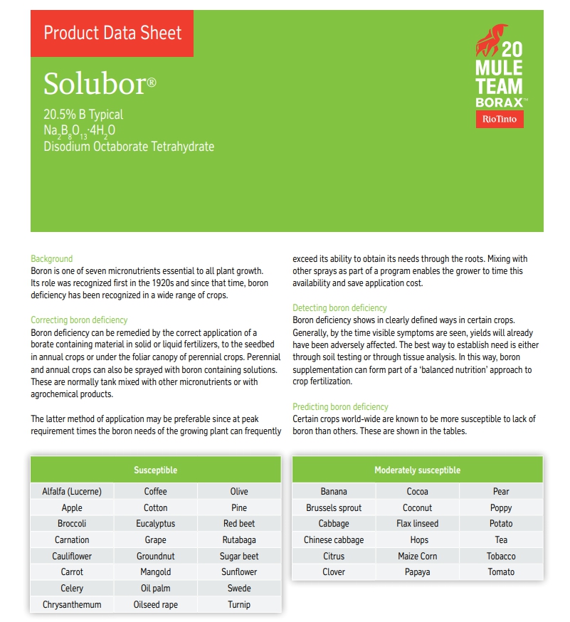Solubor โซลูบอร์ ผงจุลธาตุโบรอน 20.5% (Disodium Octaborate Tetrahydrate) บรรจุ 1 กิโลกรัม (R)