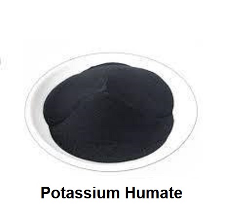 Potassium Humate 95% Powder ผงโพแทสเซียมฮิวเมท คุณภาพสูง (ประกอบด้วยฮิวมิกแอซิด 71.8%+โปตัสเซียม 12%) ช่วยปรับปรุงดินและเพิ่มการดูดซึมปุ๋ย ละลายน้ำได้ 99% บรรจุ 1 กิโลกรัม (R)