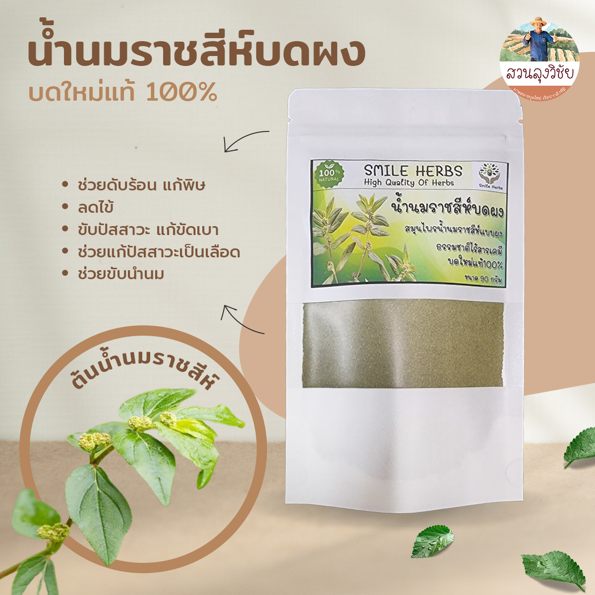 ผงน้ำนมราชสีห์ น้ำนมราชสีห์ผง น้ำนมราชสีห์บด น้ำนมราชสีห์ ชาสมุนไพรน้ำนมราชสีห์ บดแท้ 100% ไม่ผสม