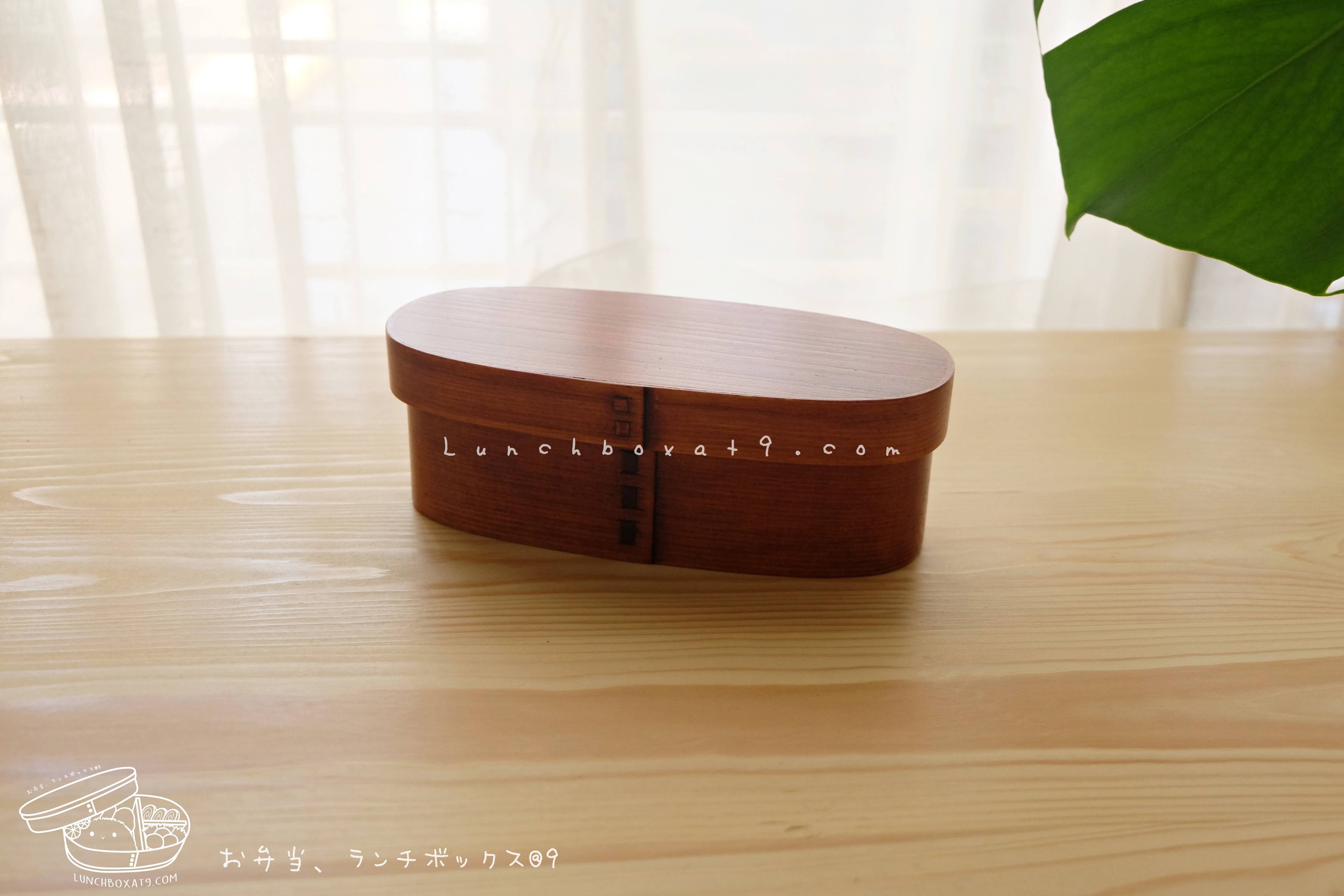 Slim Lacquered bending magewappa bento box กล่องข้าวเบนโตะญี่ปุ่นทรงยาวสีไม้เข้ม 1 ชั้น