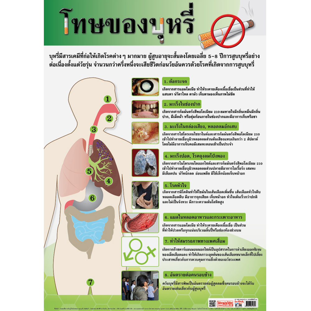 Diseases Caused by Smoking Educational Posters No.130