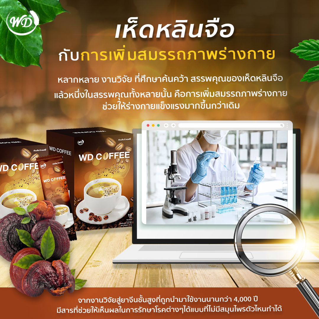 กาแฟผสมสารสกัดสมุนไพร WD COFFEE ไม่มีน้ำตาล ไม่มีไขมันทรานส์ ไม่อ้วน (4 กล่อง)