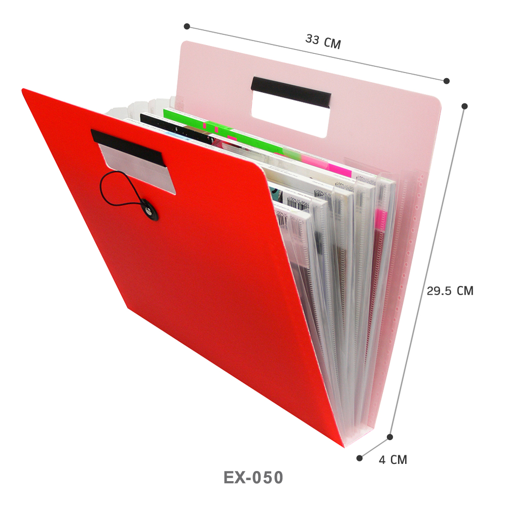 Plastic Document Bag