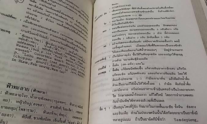 พจนานุกรม สมุนไพรไทย