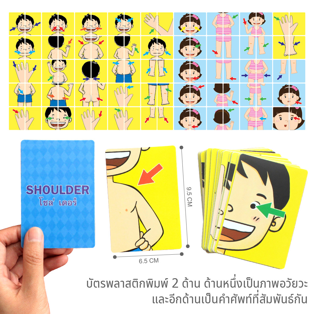 บัตรเกมต่อภาพ บัตรคำศัพท์2ภาษา ไทย-อังกฤษ ชุดอวัยวะของฉัน ET-306