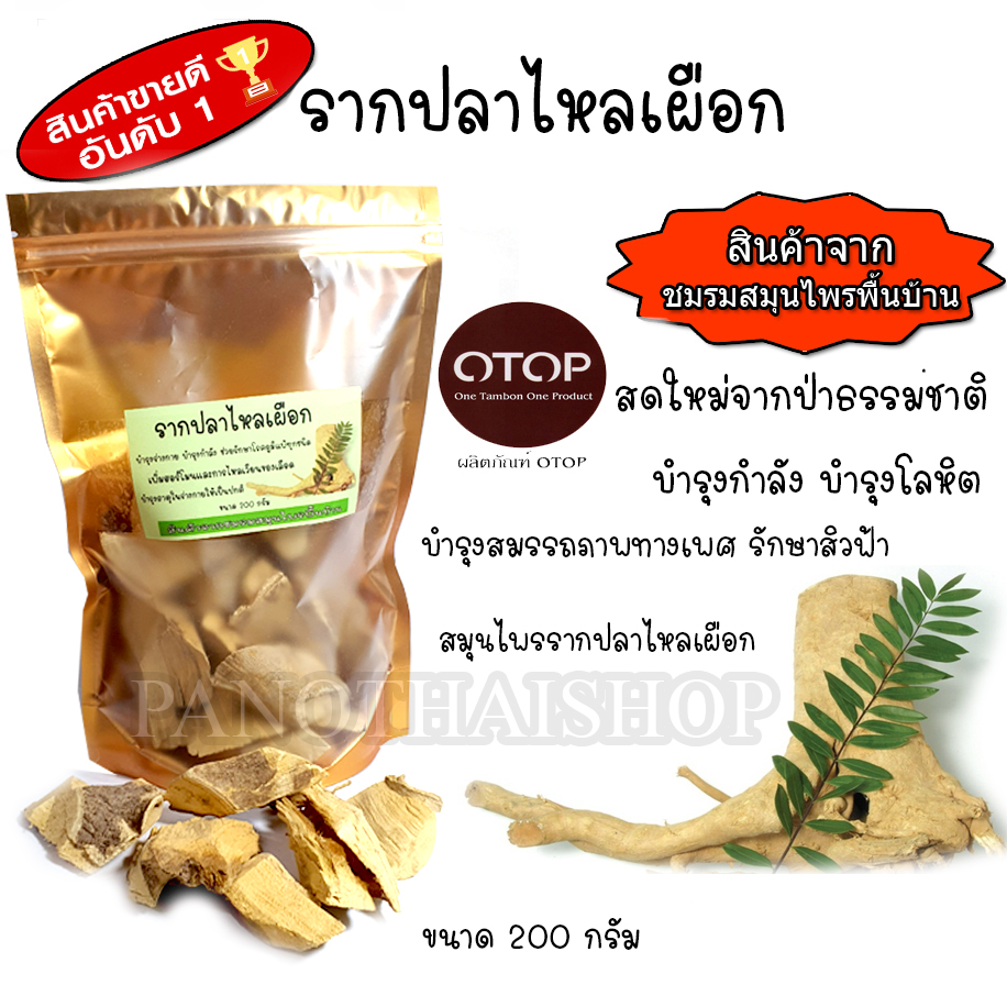 รากปลาไหลเผือก ของแท้ ปลาไหลเผือก 200กรัม ของแท้100%