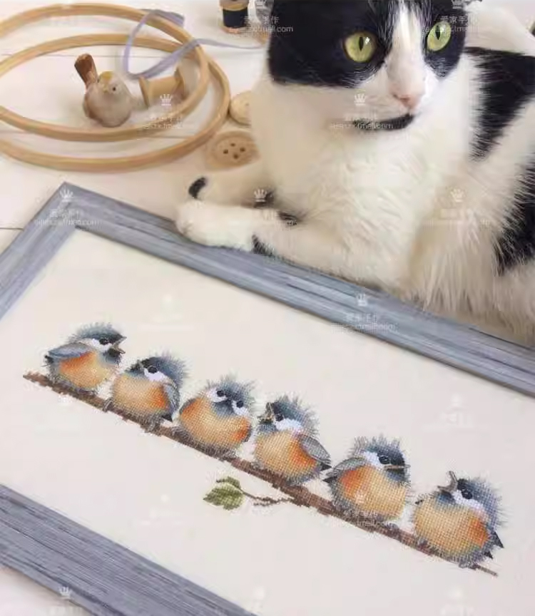 bird-1108 *สินค้าหมด* ชุดปักครอสติช ลาย 6 นกน้อย (ผ้า11CTพิมพ์ลาย ปัก 3 เส้นเล็ก) ขนาด 51*20 ซม.ผ้าครอสติช 11CTพิมพ์ลายปักบนผ้า ไหมคอตตอน 23 สี ผังลาย เข็ม