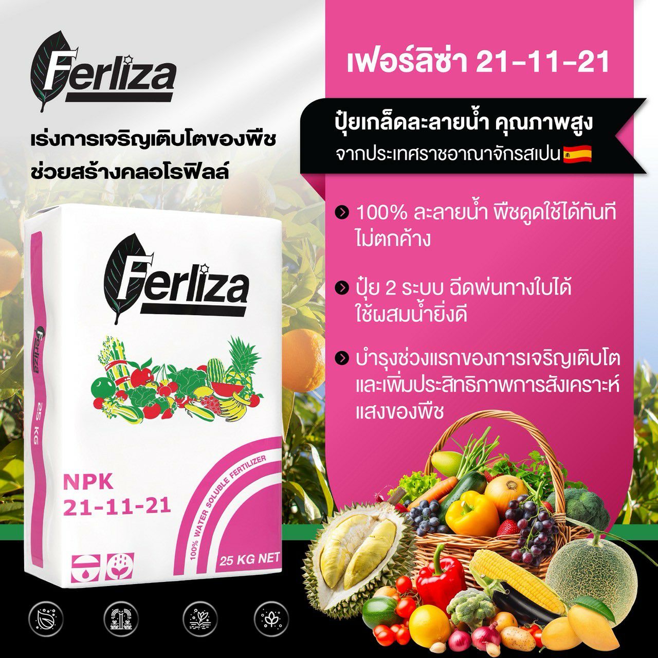 ปุ๋ยเกล็ด เฟอร์ลิซ่า Ferliza (Tarazona สเปน) สุตร 21-11-21 +ChelateTE สำหรับบำรุงต้นใบและผล บรรจุ 25 กิโลกรัม