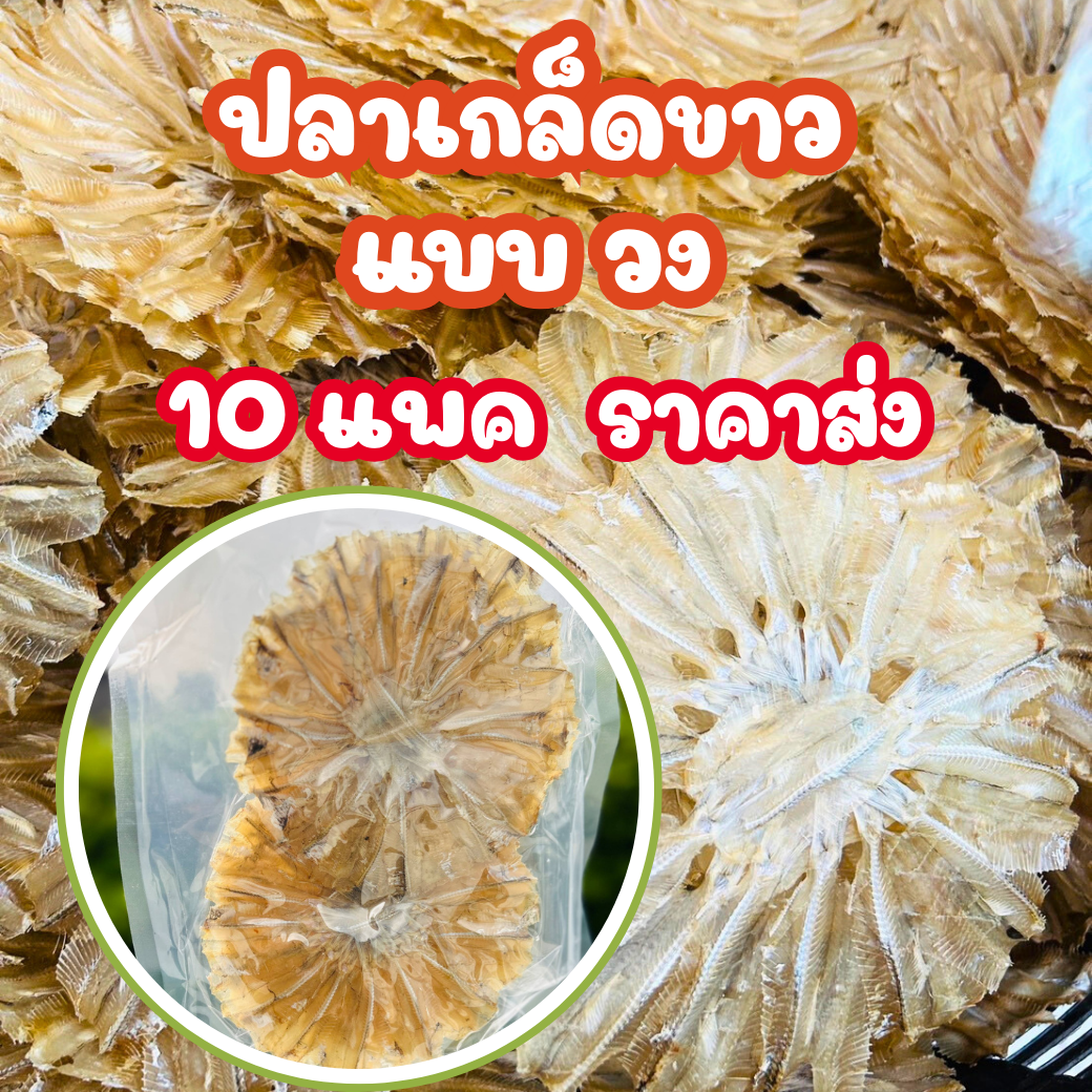 ปลาเกล็ดขาว (แบบวง) ราคาส่ง 10 แพค