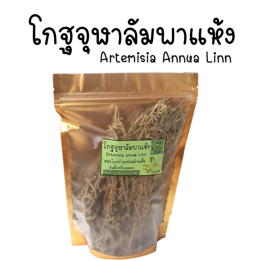 โกฐจุฬาลัมพา ของแท้ สมุนไพร โกฐจุฬาลัมพา