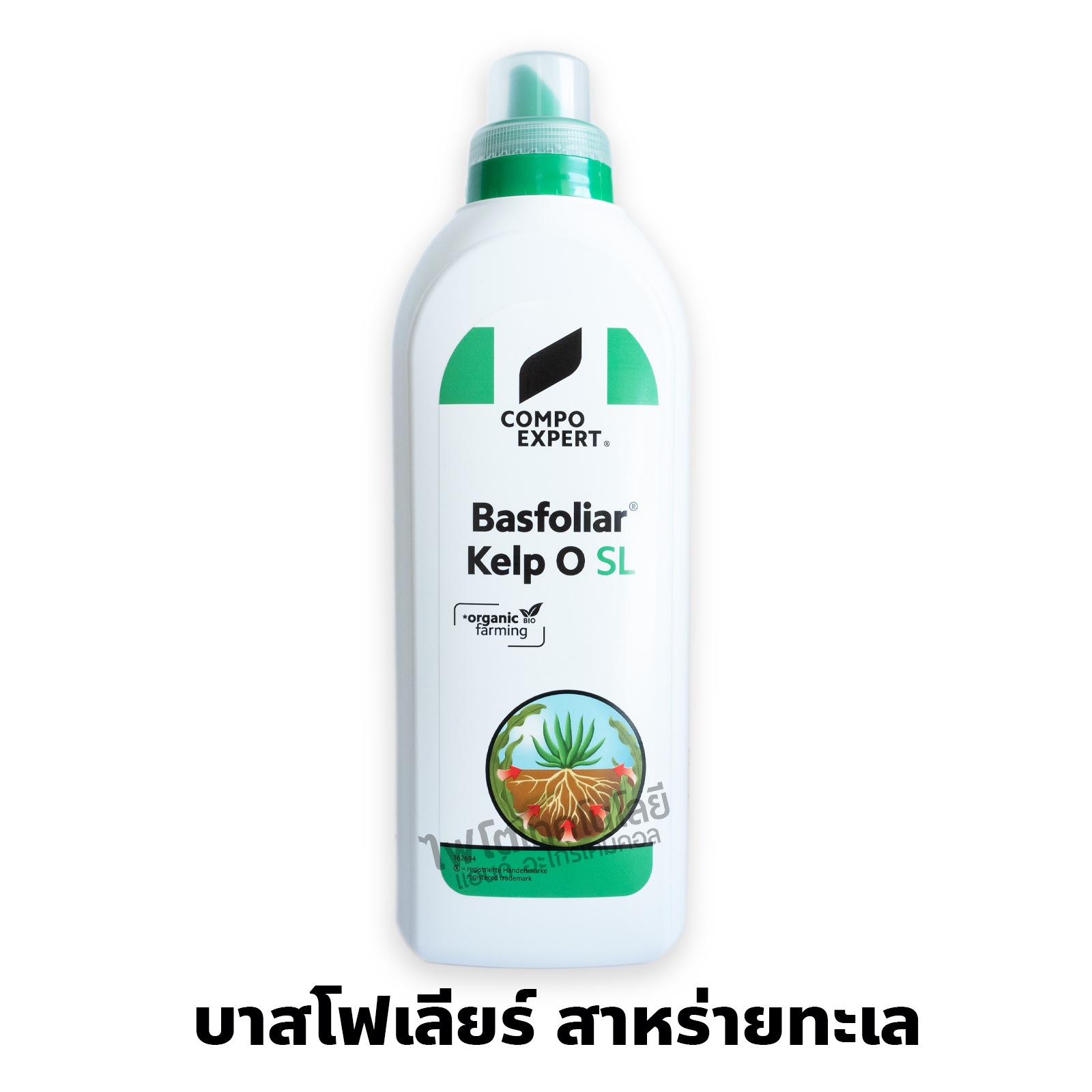 Basfoliar Kelp O สาหร่ายทะเลสกัดเย็น บาสโฟเลียร์ เคลป์ โอ (Compo Expert เยอรมัน) สาหร่ายน้ำใส อุดมด้วยฮอร์โมนและสารออแกนิคธรรมชาติจากสาหร่าย บรรจุ 1000 mlx12 ขวด