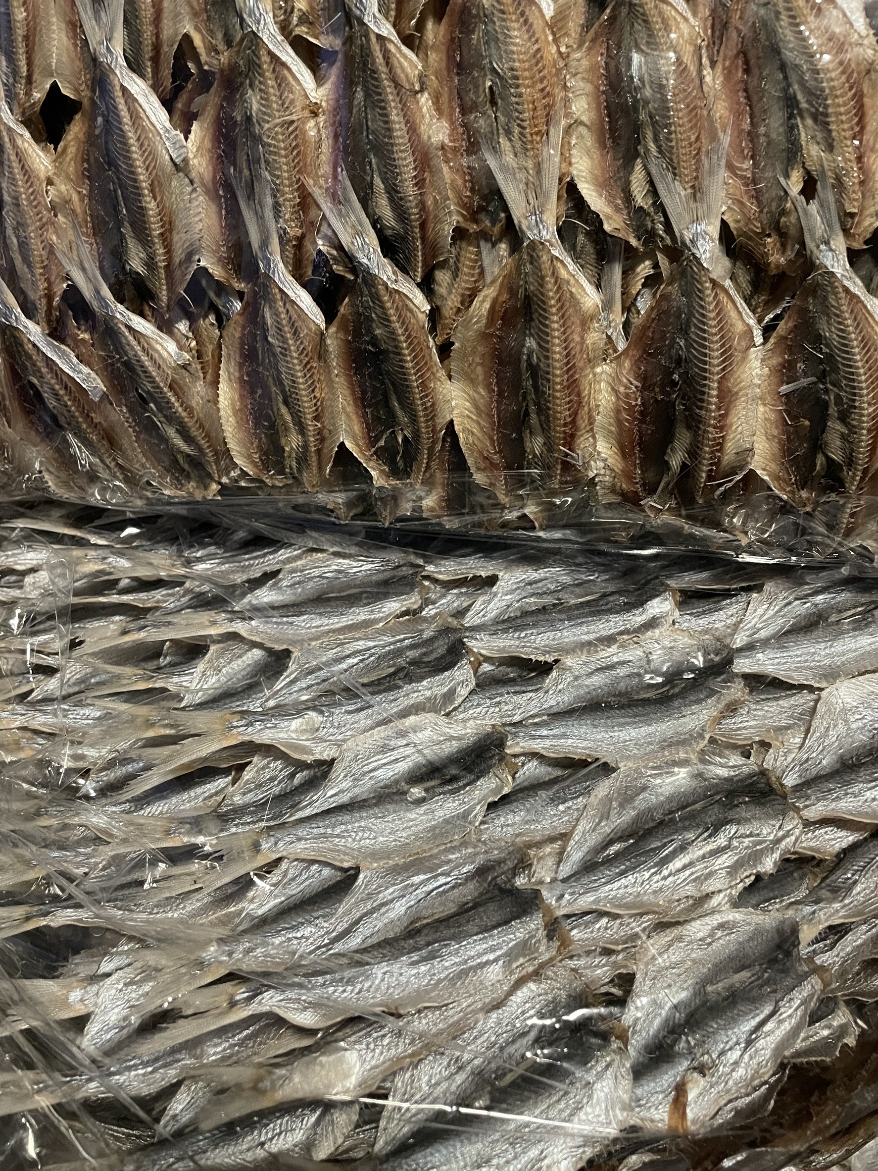 ปลาหลังเขียว ขายส่ง 5โล