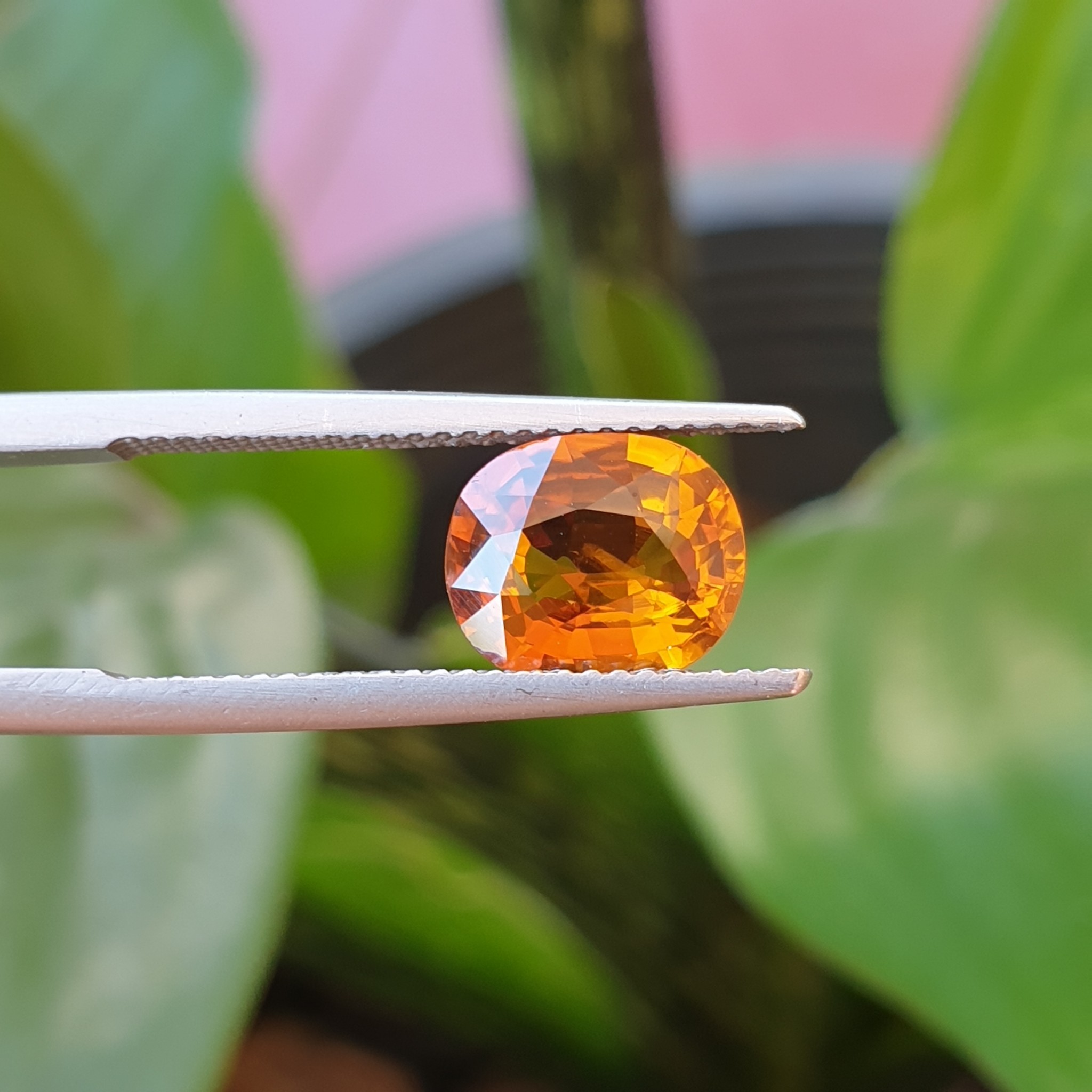 พลอยบุษราคัมบางกะจะ Yellow sapphire สีแม่โขง 2.65 กะรัต ทรงไข่กึ่งคุชชั่น