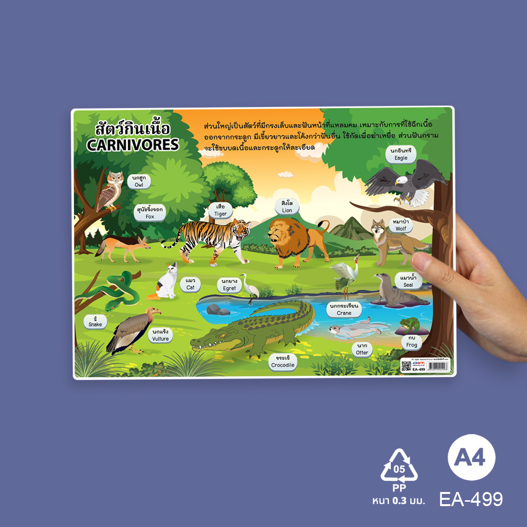 โปสเตอร์ความรู้ ชุดอาณาจักรสัตว์ ขนาดA4 EA-499 สัตว์กินเนื้อ