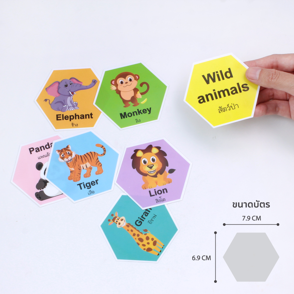 เกมต่อรังผึ้ง ชุดประเภทของสัตว์ ET-813 Animals Classification คำศัพท์ ไทย-อังกฤษ