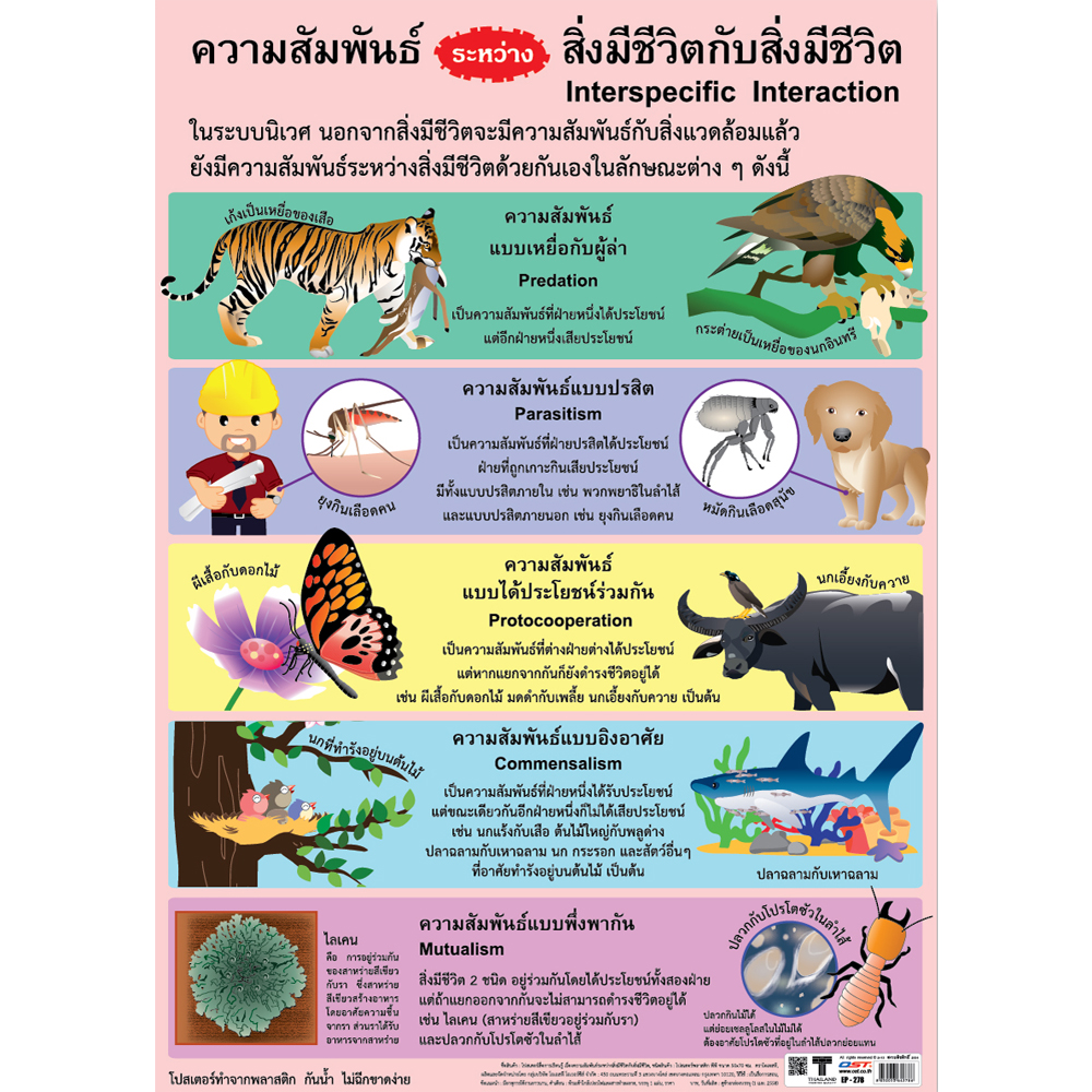 Interspecific Interaction Educational Posters No.278