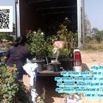 รถรับจ้างเชียงใหม่ บริการดีดี ที่อยากให้รองใช้ครับ ไม่แพงอย่างที่คิด