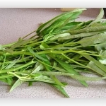 เมล็ดพันธุ์ ผักบุ้งจีนขนาด 1 กิโลกรัม