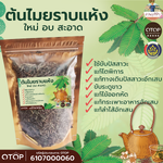 ชาไมยราบอบแห้ง ไมยราพ มัยราบ มัยราพ ไมยราบ หญ้างับ สมุนไพรไมยราบ ขนาด 90 กรัม