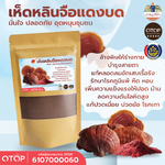 เห็ดหลินจือแดงบด ผงเห็ดหลินจือแดง 100% (Red Reishi Powder) 90 กรัม