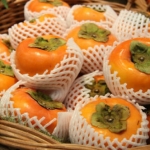 เมล็ดพันธุ์ ลูกพลับญี่ปุ่น