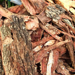 เปลือกประดู่ตากแห้ง เปลือกต้นประดู่ เปลือกประดู่ป่าตากแห้ง ขนาด 1 กิโล