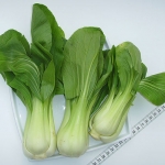 กวางตุ้งฮ่องเต้