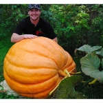 เมล็ดฟักทองยักษ์ พันธุ์ Atlantic Giant