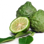 เมล็ดมะกรูด