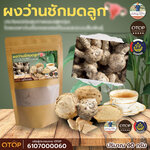ว่านชักมดลูกผง บดละเอียด 100% ไม่ผสม
