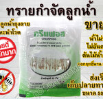 ทรายอะเบท 1 ซอง ทรายกำจัดลูกน้ำ ทรายกำจัดยุง ทรายกรีนฟอส ขนาด 1 ซอง สุดคุ้ม ใช้ง่าย ขายดี