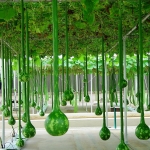 เมล็ดพันธุ์ น้ำเต้าคอยาว