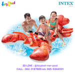 Intex ส่งฟรี แพกุ้งล็อบสเตอร์ 2.13x1.37 ม. รุ่น 57533